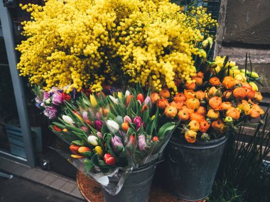 Mağaza çiçekçi satış çeşitli lale ve mimoza çiçekleri