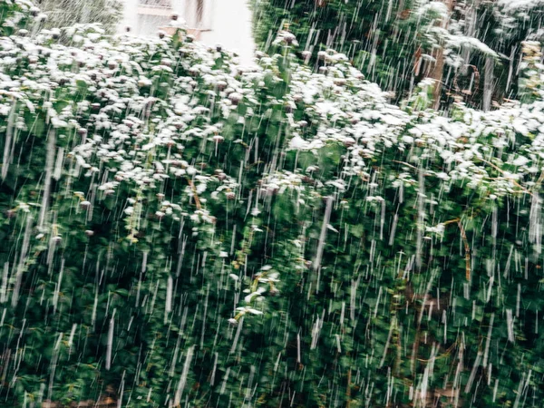街に降る雪 — ストック写真