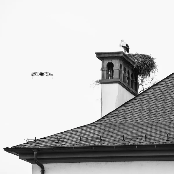 황새 둥지 근처를 비행 하는 현대 무인 항공기 — 스톡 사진