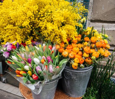 Birden fazla çiçek satan Fransız çiçekçi mağaza cephe