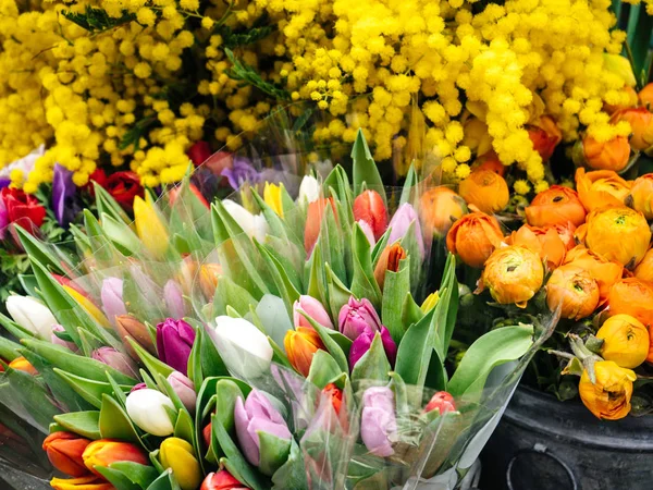 Florista francês loja fachada entrada vendendo múltiplas tulipas mimosa — Fotografia de Stock