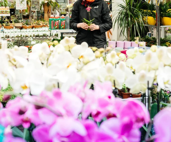 Mujer de compras floristería con hermosa flor de orquídea — Foto de Stock