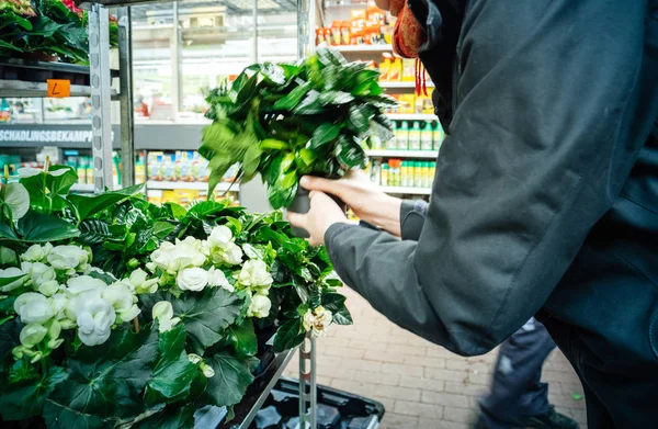 Elegante mujer alemana comprando diversas flores — Foto de Stock