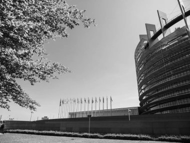 Avrupa Birliği Üye Devletleri Avrupa Parlamentosu'nu işaret