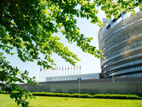 Avrupa Birliği Üye Devletleri Avrupa Parlamentosu'nu işaret