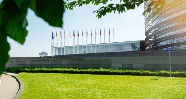 Государства-члены Европейского Союза флаги Европейского парламента — стоковое фото