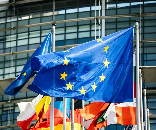 Vlajky všech členských států parlamentu Evropské unie — Stock fotografie