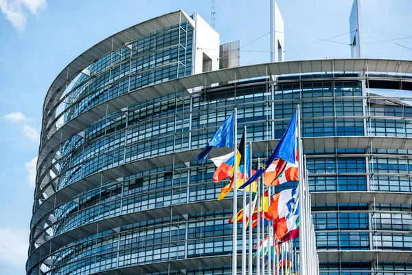 Прапори всіх держав-учасниць парламенту Європейського Союзу — стокове фото