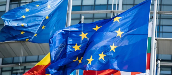 Drapeaux de tous les États membres de l'Union européenne Parlement — Photo