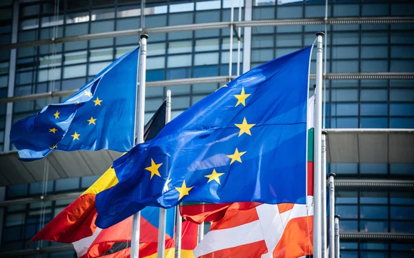 Avrupa Birliği Parlamentosu'nun tüm üye ülkelerinin bayrakları — Stok fotoğraf