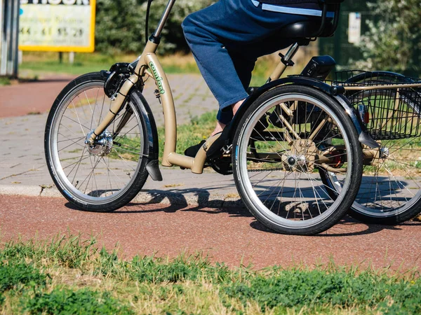 Senior man driving modern upright tricycle Netherlands — Stock Photo, Image