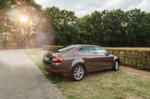 Novo Skoda Octavia carro pakred De Hoge Veluwe National Park — Fotografia de Stock