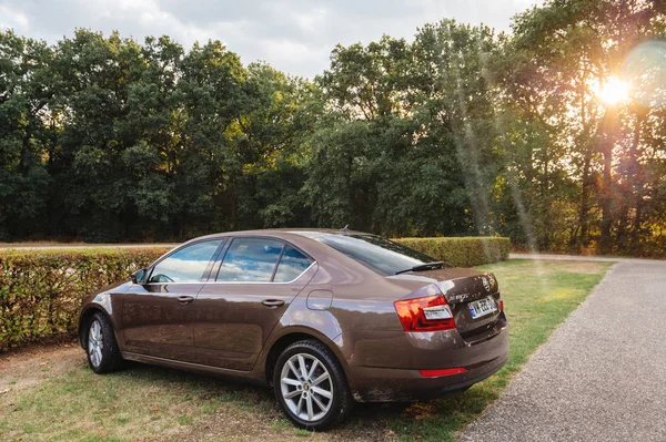 Novo Skoda Octavia carro pakred De Hoge Veluwe National Park — Fotografia de Stock