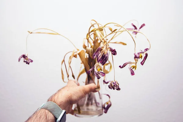 Mann hält Vase mit abgestorbener Pflanze in der Hand — Stockfoto
