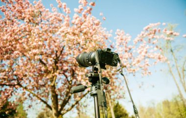 bir tripod modern Nikon V 1 aynasız kamera