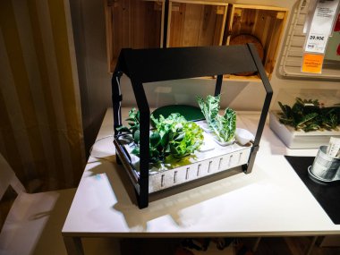 Kryyda Waxer sebze Ikea Mağaza içinde kiti büyümek