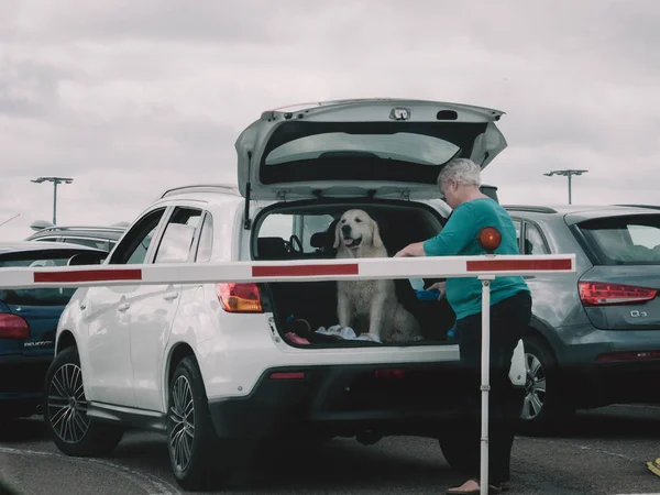 Mujer con perro esperando para entrar en el ferry Países Bajos —  Fotos de Stock