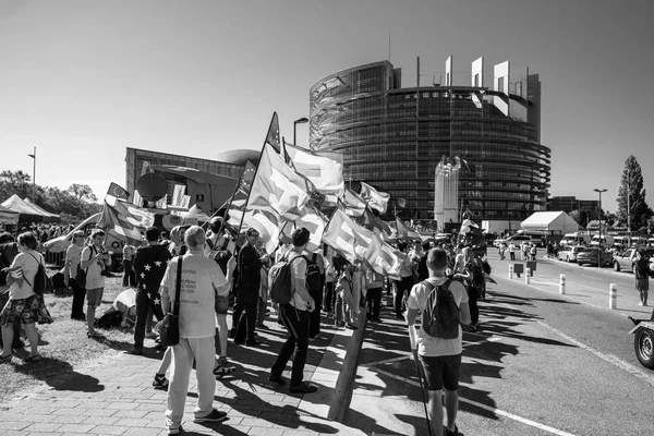 Bandera del Movimiento Europeo Bandera federalista Parlamento Europeo —  Fotos de Stock