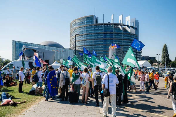 Прапор Європейського руху федералістів прапор Європейського парламенту — стокове фото