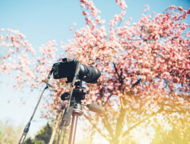 fotoğraf çeken bir tripod üzerinde aynasız kamera