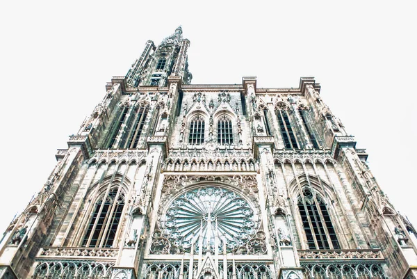 Katedralen Notre-Dame låg vinkel vy — Stockfoto