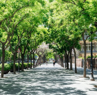 avenue de les Drassanes kare görüntü ağaçlar yayalar sokak kapsayan