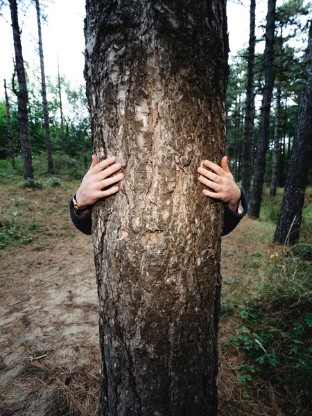 Kadın elleri ile uzun boylu şarap ağacı kucaklar i — Stok fotoğraf