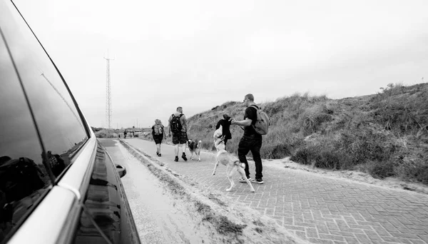 Vista da auto a famiglia con cani che vanno in spiaggia — Foto Stock