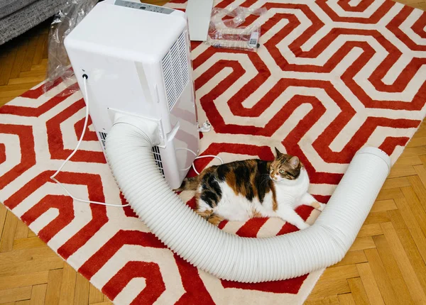 Unboxing of new portable air conditioner unit AC — Stock Photo, Image