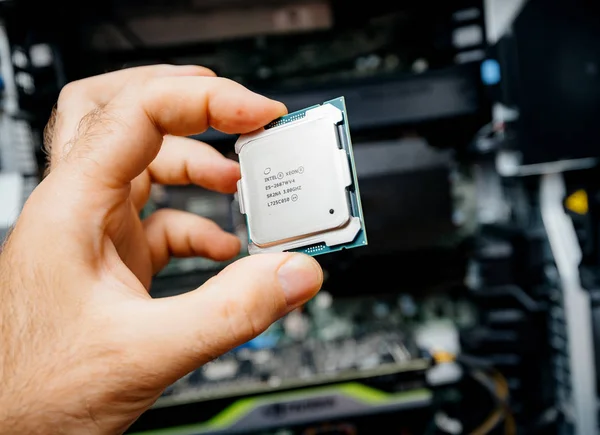 Mano masculina sosteniendo nuevo profesional Intel Xeon E5-2687w v4 —  Fotos de Stock