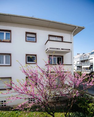 Judas Tree i ile Fransız apartman binası