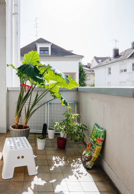 Balkonda tencere birden fazla çiçek