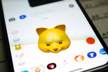 iphone 11 Pro with Cat duyguları ifade yüzleri