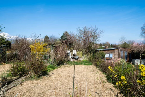 Tomma trädgårdstilldelningar med preparerad plöjd jord för vårkulturerna — Stockfoto