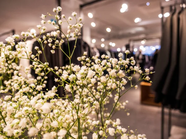 Defocused view of luxury fashion clothes store seen through plants — Stock Photo, Image