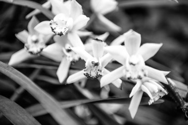 Odaklanamayan bulanık su manzaralı kaynak suyu manzarası.