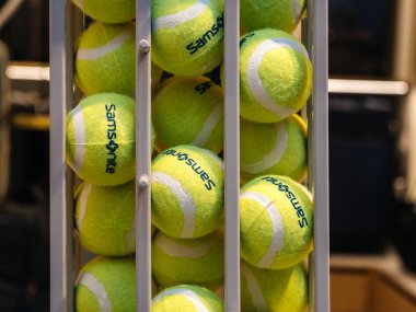 Vazoya yerleştirilmiş Samsonite tenis topları