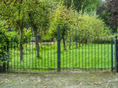 Metal yeşil bahçe kapısı meyve bahçesine açılıyor. Yaz boyunca Hollanda 'nın kırsal kesimlerinde elma ağaçları ve yemyeşil çimenler var..