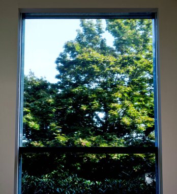 Geniş, modern bir pencereden dışarıdaki yemyeşil ağaçları ve yeşillikleri gösteren koruyucu bir ekranla iç güvenlik ve açık hava güvenliğini birleştiren bir manzara..