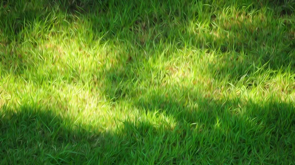 Verschwommene Bilder Von Echtem Naturgrünem Gras Feld Blickwinkel Mit Ölfarbe — Stockfoto