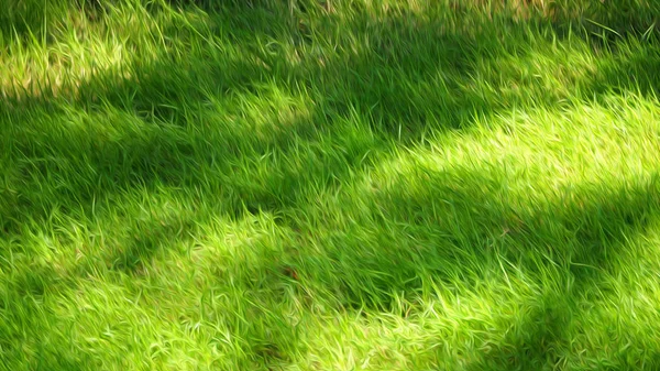 Blurry Images Real Natural Green Grass Field Top View Angle — Stock Photo, Image