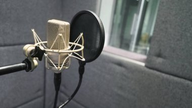 Şok montajı ve pop filtresine sahip stüdyo mikrofonu 