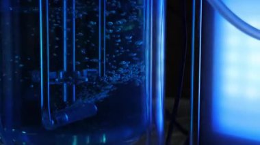 Kimyasal sıvılar. Renkli kimyasal sıvılar test tüpleri ya da deney tüpleri ve karıştırma ve reaksiyon süreçleriyle laboratuvar camları. Kimya bilimi deneyi biyoteknoloji araştırması ve yenilik teknolojisi.