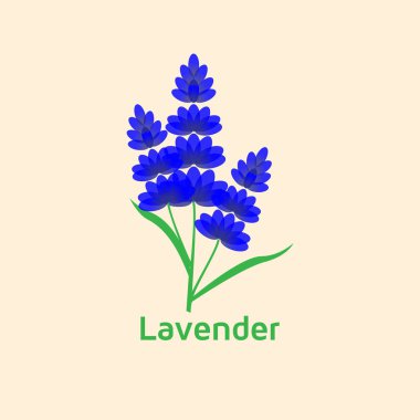 Lavanta Logo simge vektör şablonu