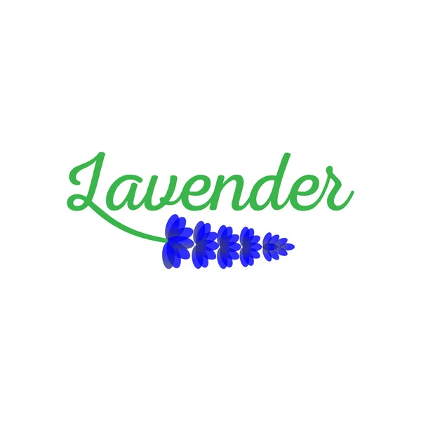 Plantilla Vector Icono Lavanda Logo — Archivo Imágenes Vectoriales