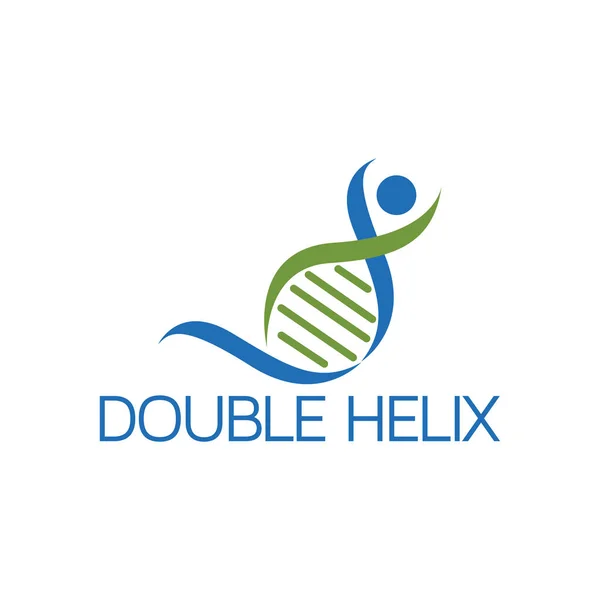 Подвійний Helix Dna Логотипом Людей Векторний Шаблон — стоковий вектор