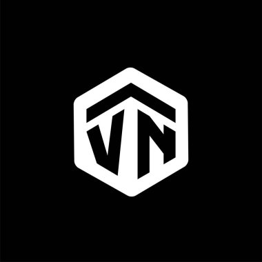 V N ilk mektup altıgen logo vektör