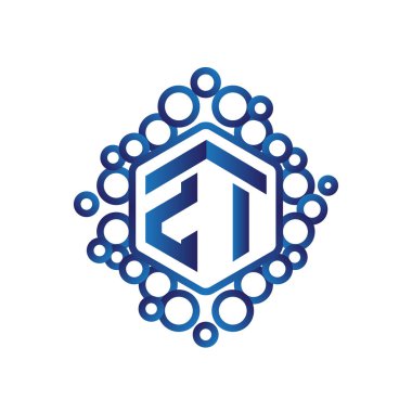 Z ben ilk mektup altıgen logo vektör