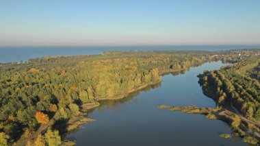 Bir kuş bakışı görünüme çekim orman boyunca akan güzel nehir