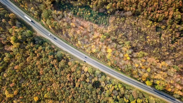 Vista de alto ângulo de uma estrada através da floresta ao pôr do sol com espaço de cópia — Fotografia de Stock